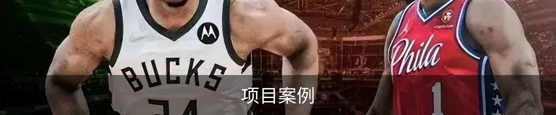 项目案例